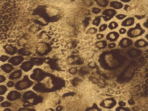 Chair Pad | Leopard Poly