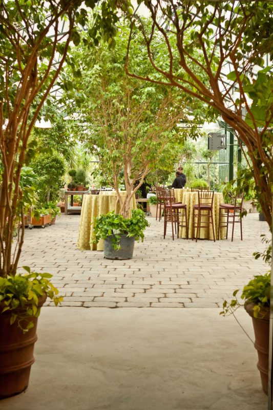 Greenery for corporate events in Michigan, Neiman Marcus at Planterra