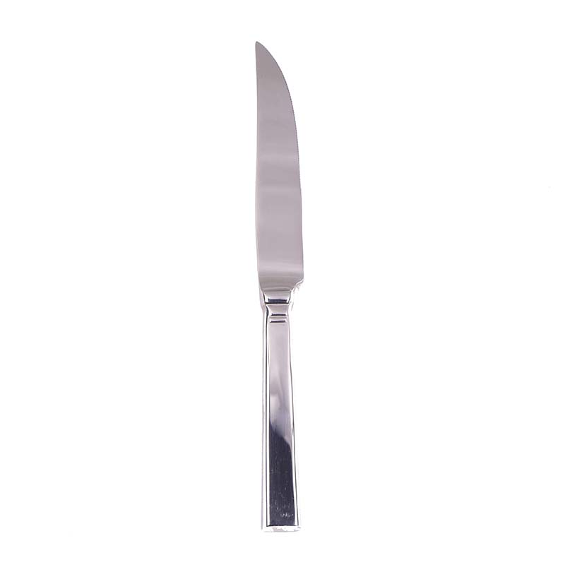 Stainless Steel Steak Knife