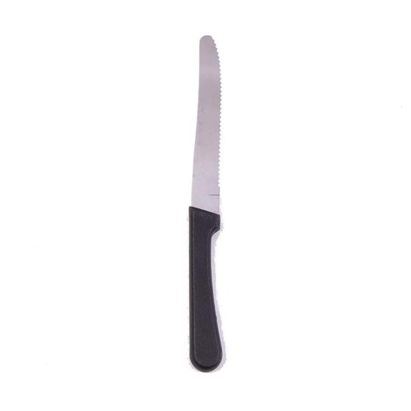 Steak Knife with Plastic Handle