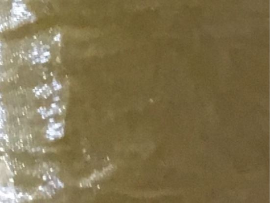 Maize Iridescent Crushed