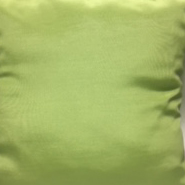 Apple Green Bengaline Pillow